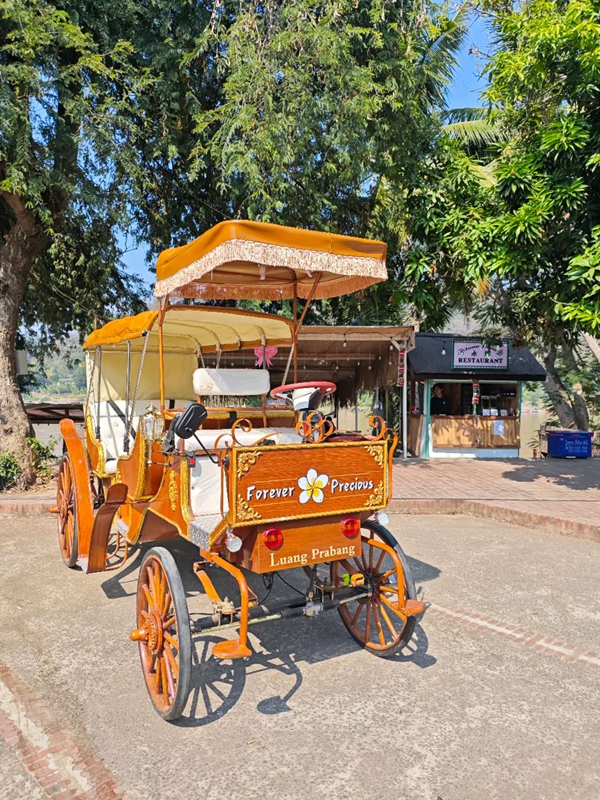 永珍旅行社特色电动马车巡游古城项目上线，它是琅勃拉邦古城内的一道打卡亮点，马车受到当地广大游客的追捧和好评。