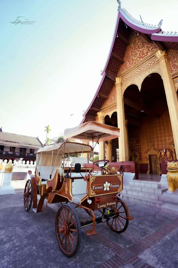 复古马车巡游古城